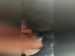 Bestiality: a woman submits her dog to her desires