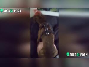 Bestial encounter: a woman and a dog