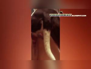 Bestiality and Extreme Sex: A Woman and Her Dog