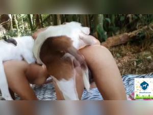 female dogs subjected to bestial acts