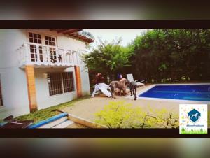 Femaledog Fucking and Sucking a Female Porn Star