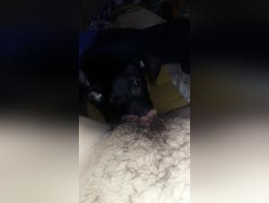 Bestiality: a woman and her dog