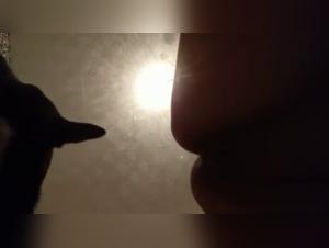 Woman and dog in shocking bestiality video