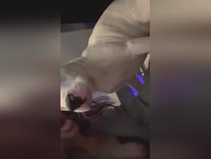 teen in love with dog