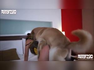 Female in heat: an intense bestiality video