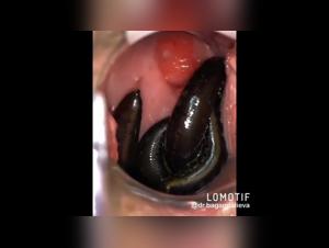 Bestial encounter: woman and dog