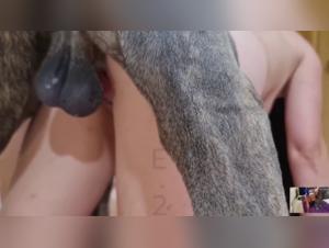 alison and her dog sucking