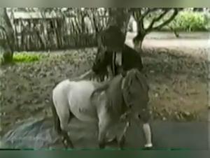 Horse and woman in an extreme zoophilia scene