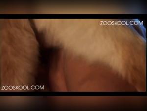 Zooskool - An extreme bestiality sex school