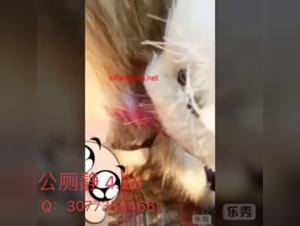 Asian woman and her dog: a zoophilia video not to be missed