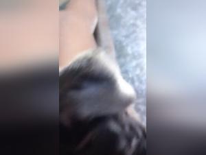 Through a Dark Lens: Pornscum & Artofzoo Tickzoo