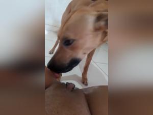 Brazilian woman and dog: a beastly video