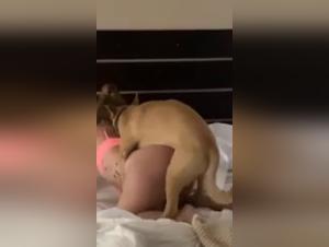 Naughty pets for an unforgettable beastly experience