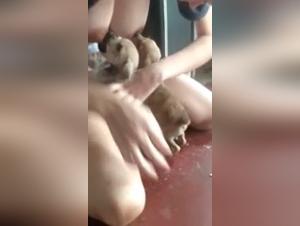 Bestiality: a woman and her dog