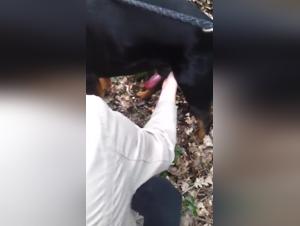 videos de zoofilia zoo tubes