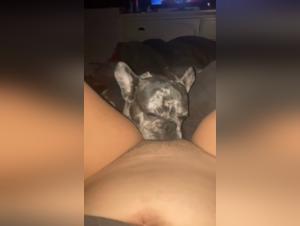 Bestiality sex: dog and woman