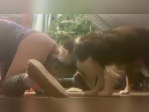 An Intimate and Passionate Encounter with a Four-Legged Friend