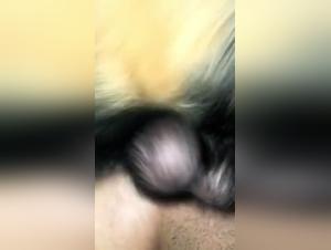 Bestiality sex with a dog and a teenage girl