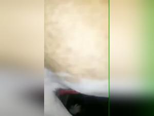 Dog Style After Shower: An Intense Bestiality Video