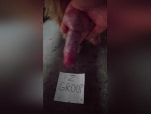 Human-Dog Encounter: A Bestial Experience