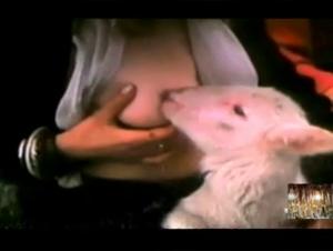Zoophilia video with a sheep on a vintage farm