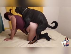 Intense training session with our Rottie in slow motion