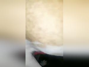 Asian woman and her dog in a bestiality scene