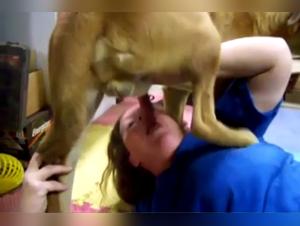 explora artofzoo hd realidades prohibidas