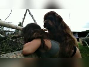 Bestiality sex video: submissive female dog gets fucked by her dog