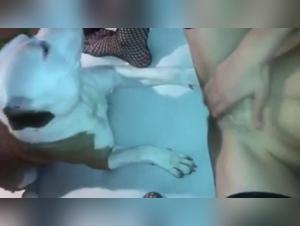 Sex video with a dog: a bestial and forbidden experience