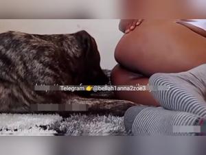 Woman and Dog: A Forbidden Intimacy