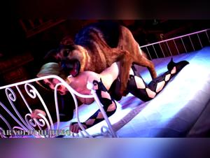 3D Cartoons - Unexpected Encounter