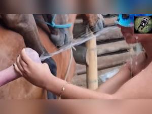 Exciting Encounter: Woman and Horse