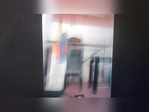 Mother and Daughter have fun with their dog