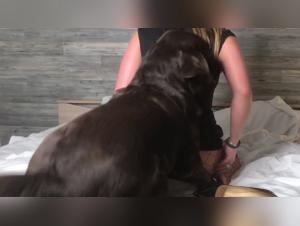 Veronica Silesto in shocking zoophilia video