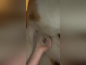 animal porno zoofiles