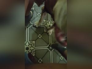 Zoophilia video with Ryder