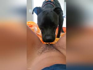 Deseos prohibidos en el reino animal