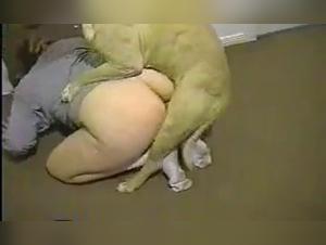 La Grand-mere qui fait l'objet d'une attraction sexuelle pour les chiens