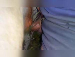 Artofzoo: Intimate Exploration