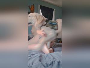 animalistic desires and intimate fantasies