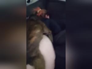 Bestiality Sex Video with a Dog