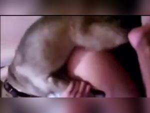Teens and Dogs: Exciting Bestiality Videos