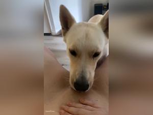 Understanding Beastiality: Online Realities