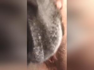 Blonde woman and big dog in bestiality video