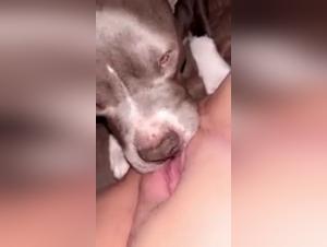 Bestiality Zoophilia: A Passionate Encounter