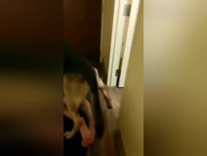 Woman and dog: a forbidden meeting