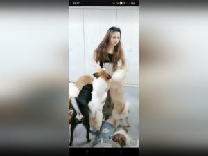 Bestiality sex videos in high quality