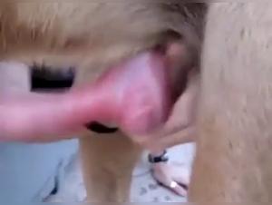 Sensual Teen Girl and Her Four-Legged Best Friend: An Extreme Bestiality Sex Experience