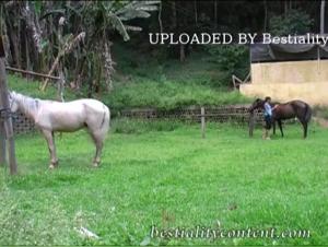 Young Girl, 18 Years Old, Has a Wild Encounter with a Horse - Extreme Zoophilia Video